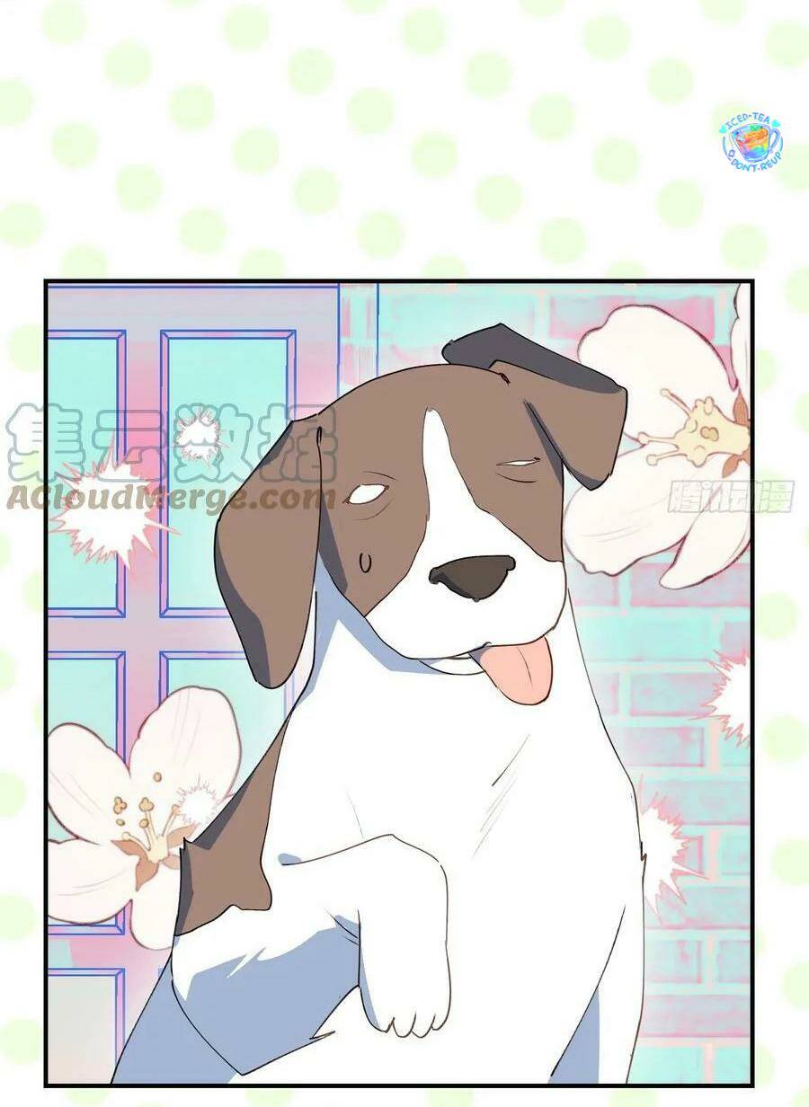 Ma Vương Đại Nhân Luôn Trêu Chọc Tôi Chapter 49 - Trang 2