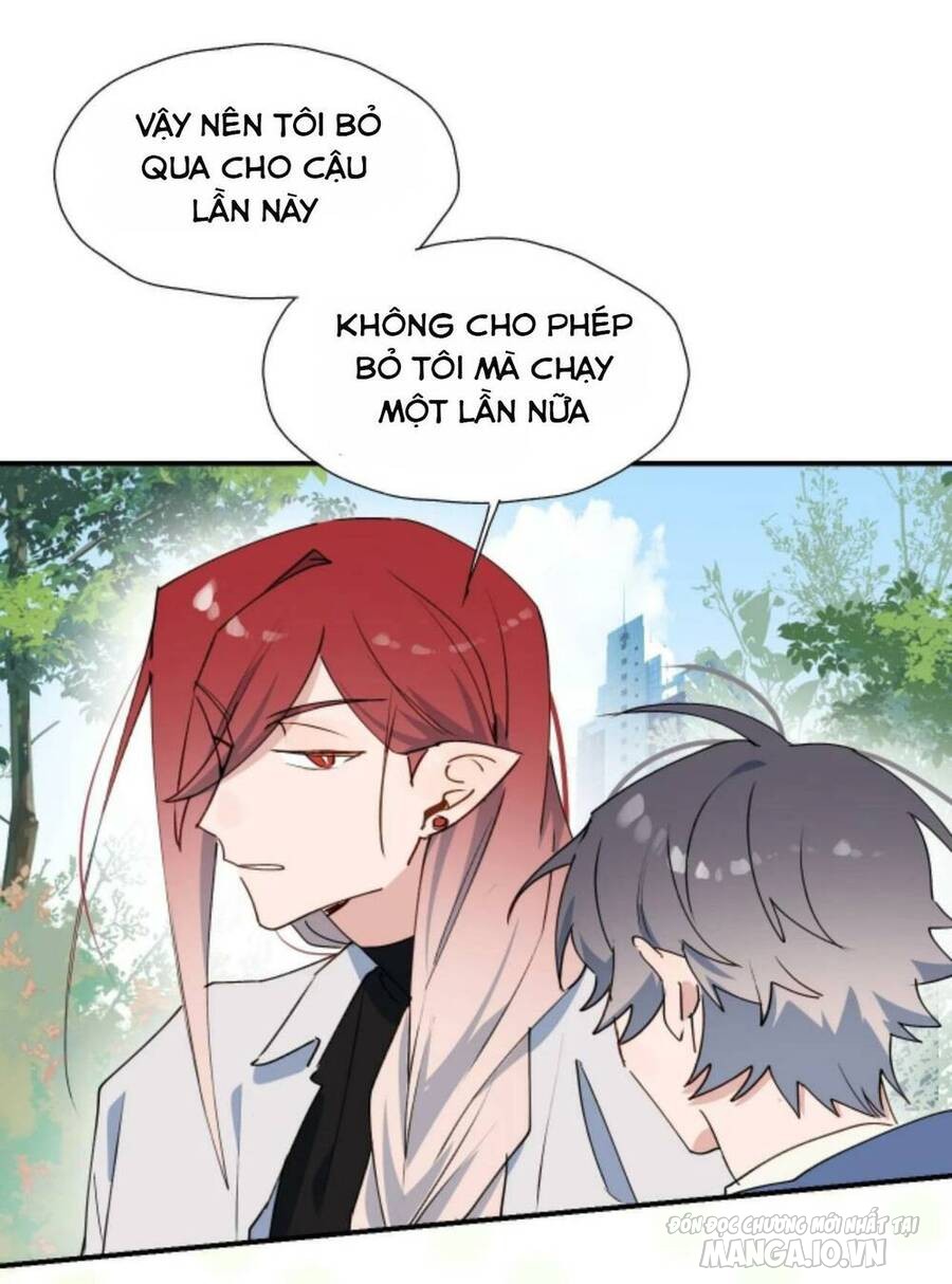 Ma Vương Đại Nhân Luôn Trêu Chọc Tôi Chapter 58 - Trang 2