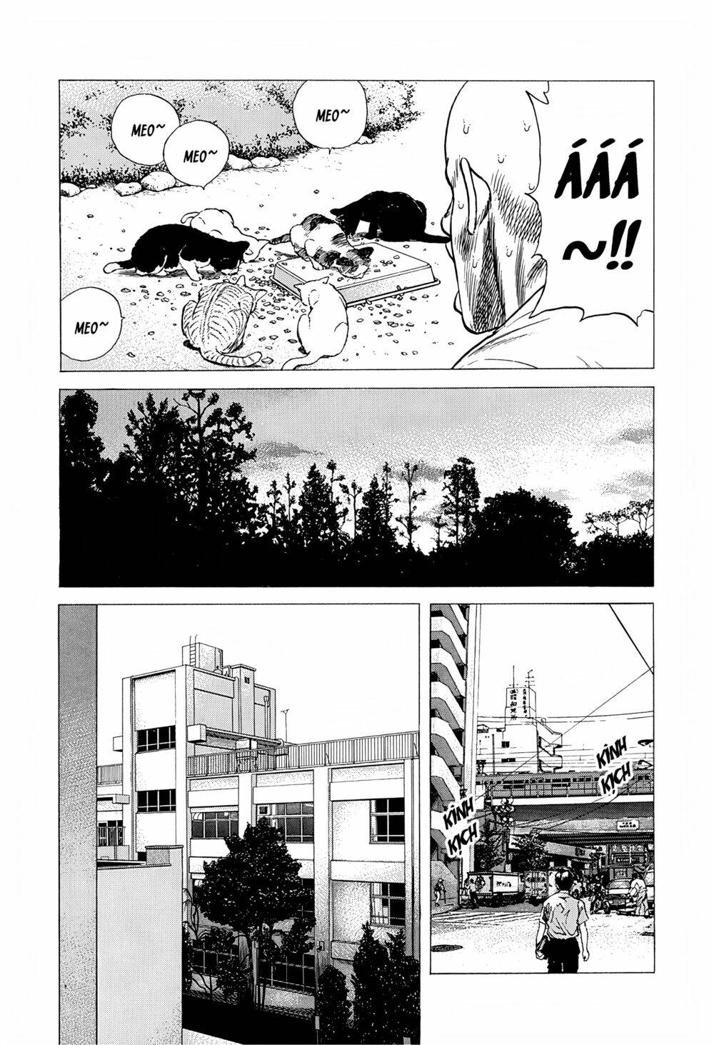 Maeda Taison Blues Chapter 236 - Trang 2