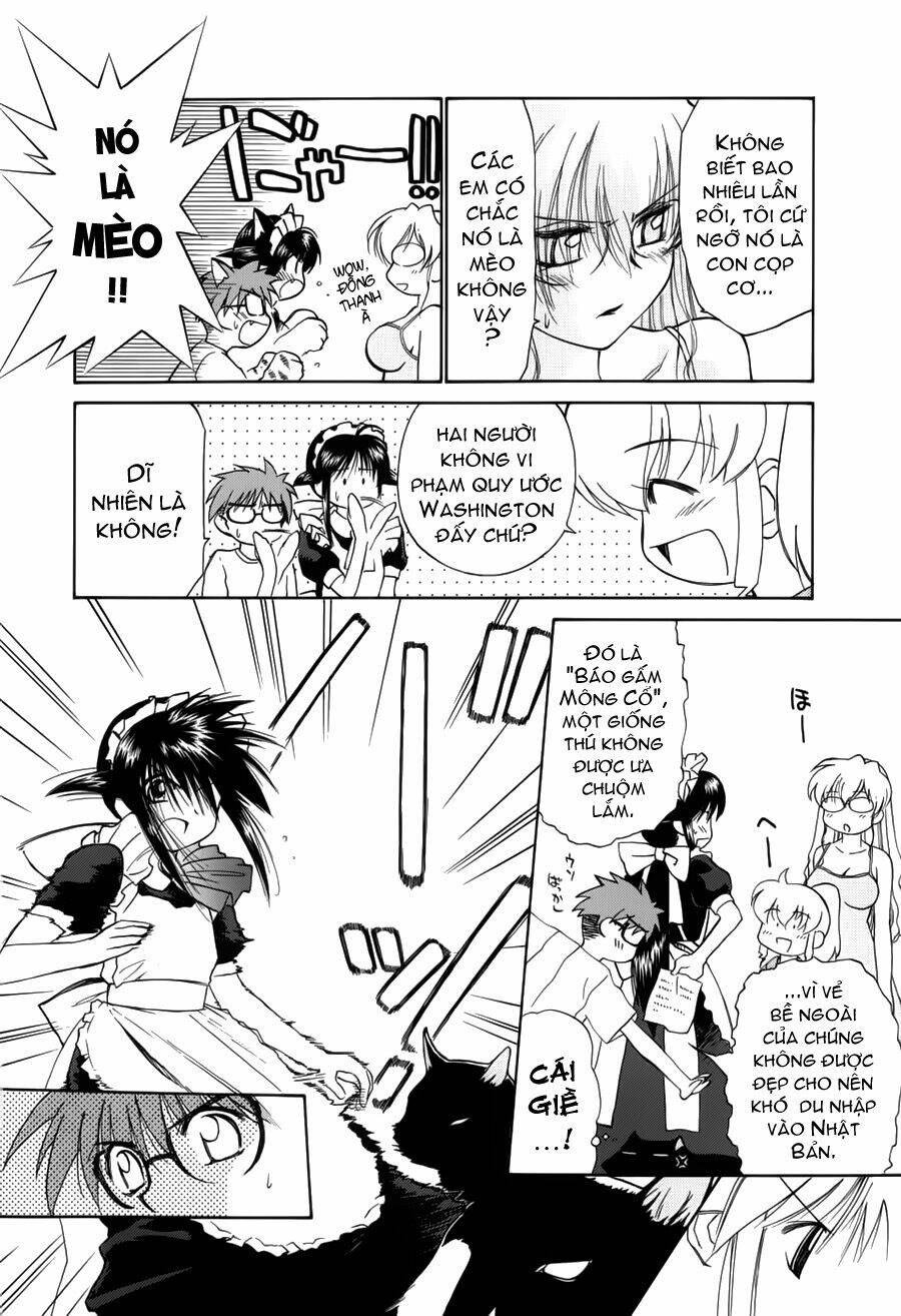 Mahoromatic Chapter 13 - Trang 2