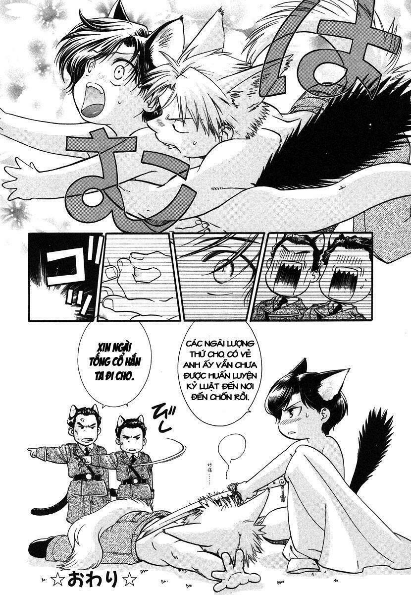 Maiden Rose-Special Chapter 1 - Trang 2