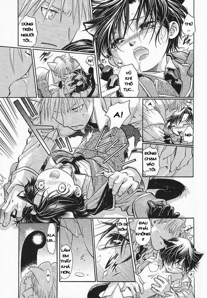 Maiden Rose-Special Chapter 4 - Trang 2