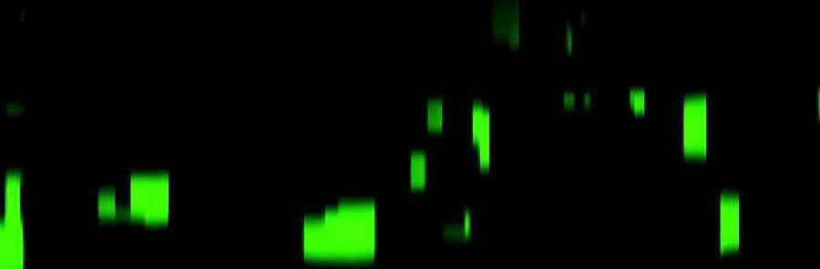 Mầm Chết Chapter 2 - Trang 2