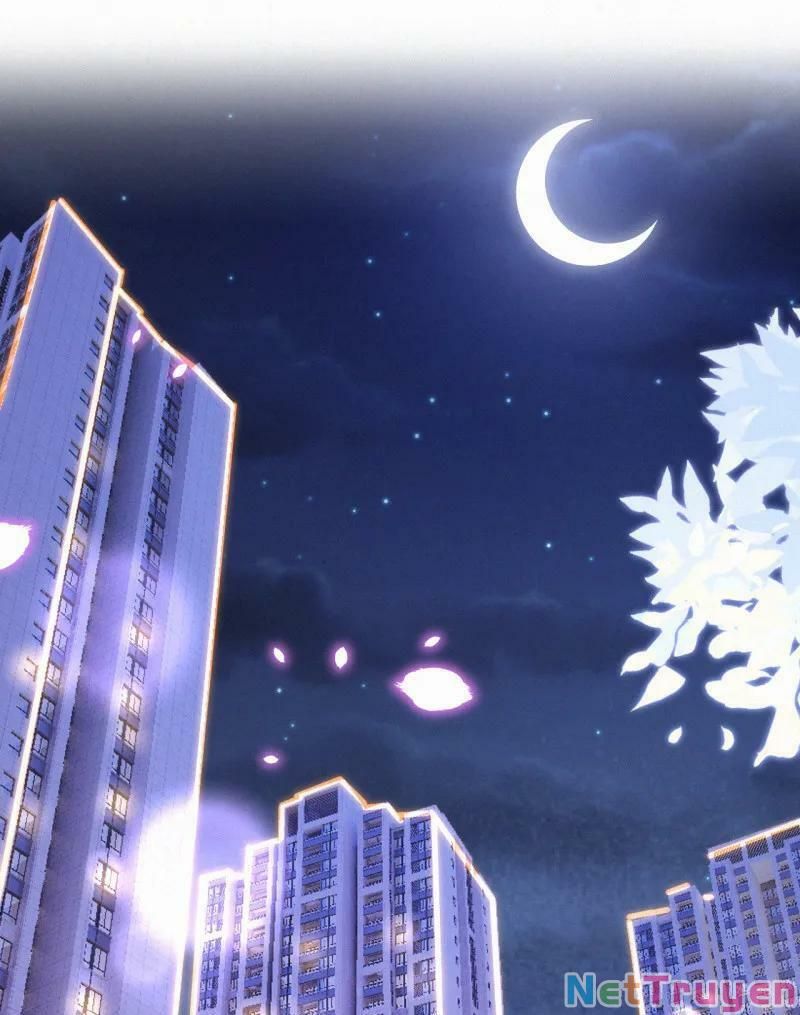 Mami Đột Kích, Thiên Tài Manh Bảo Khốc Daddy Chapter 47 - Trang 2