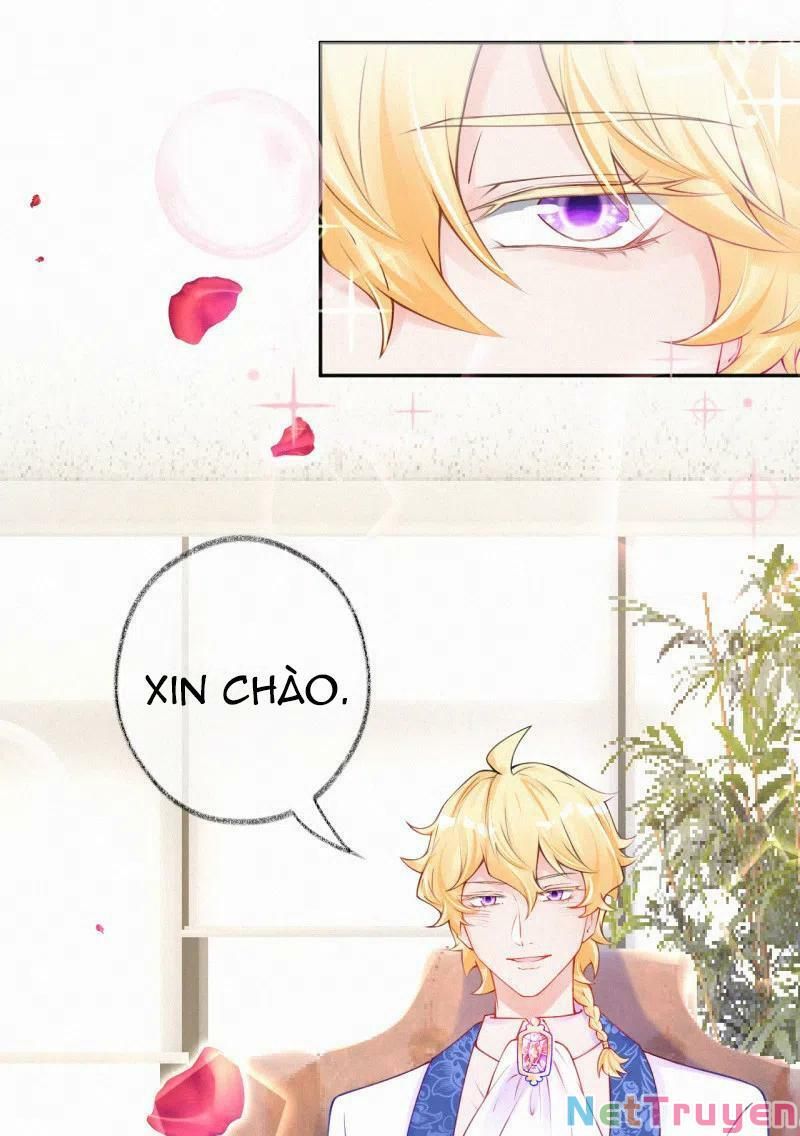 Mami Đột Kích, Thiên Tài Manh Bảo Khốc Daddy Chapter 53 - Trang 2
