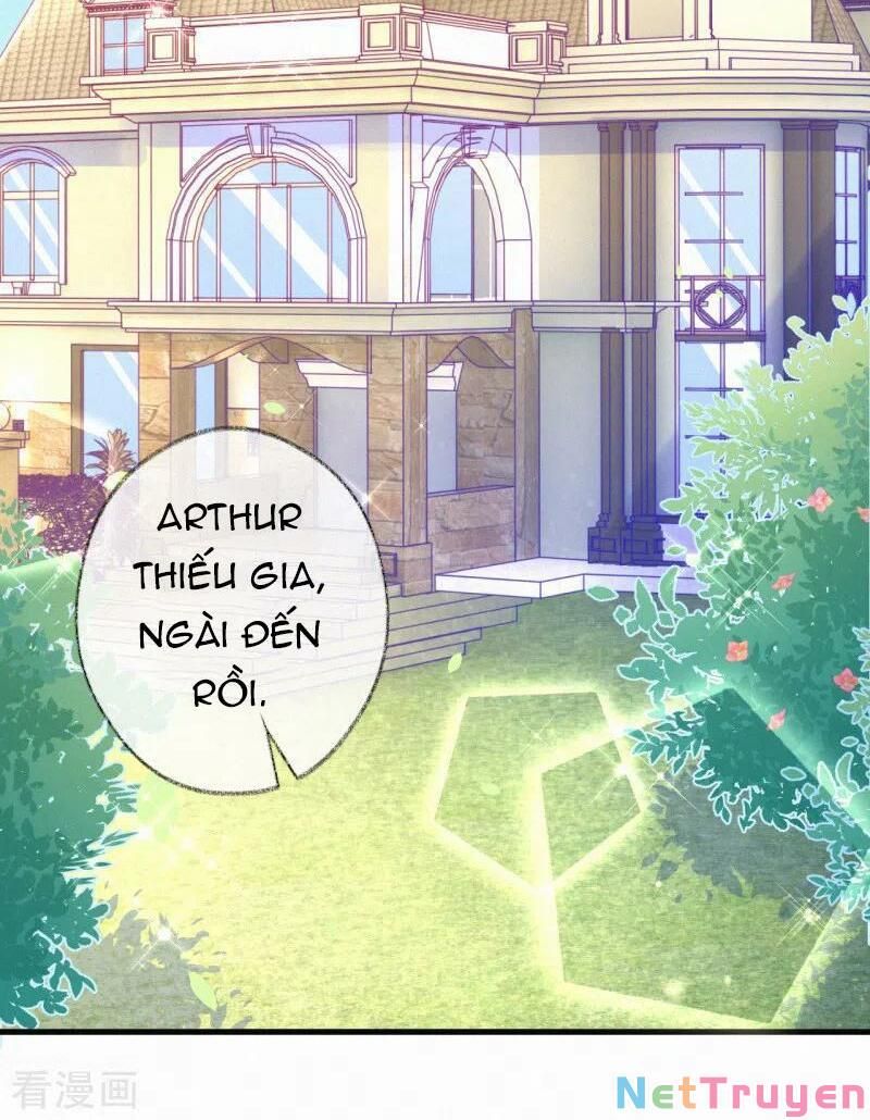 Mami Đột Kích, Thiên Tài Manh Bảo Khốc Daddy Chapter 61 - Trang 2