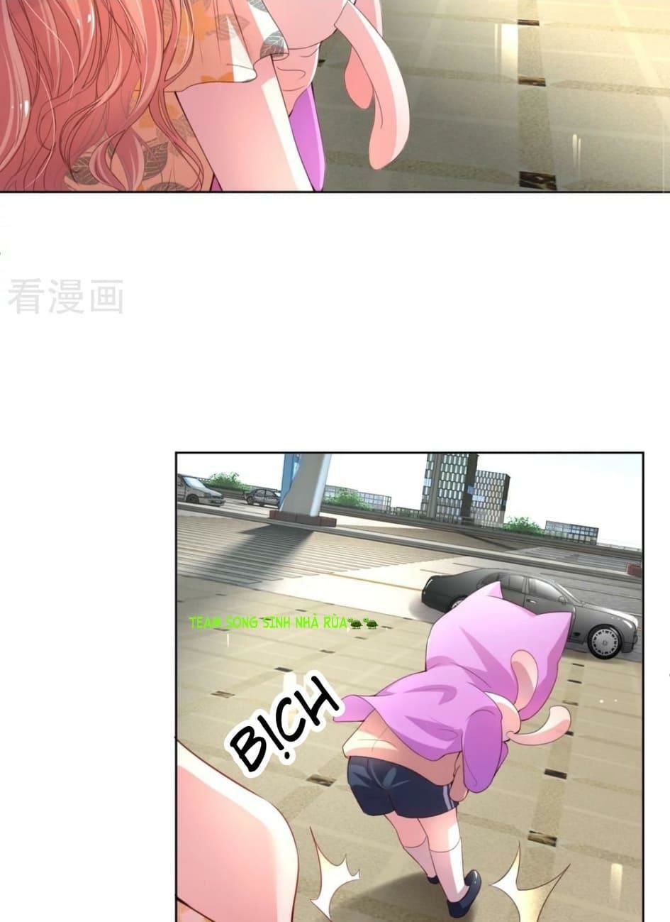 Mami Mau ChạY – Daddy Đuổi Tới Rồi Chapter 1 - Trang 2