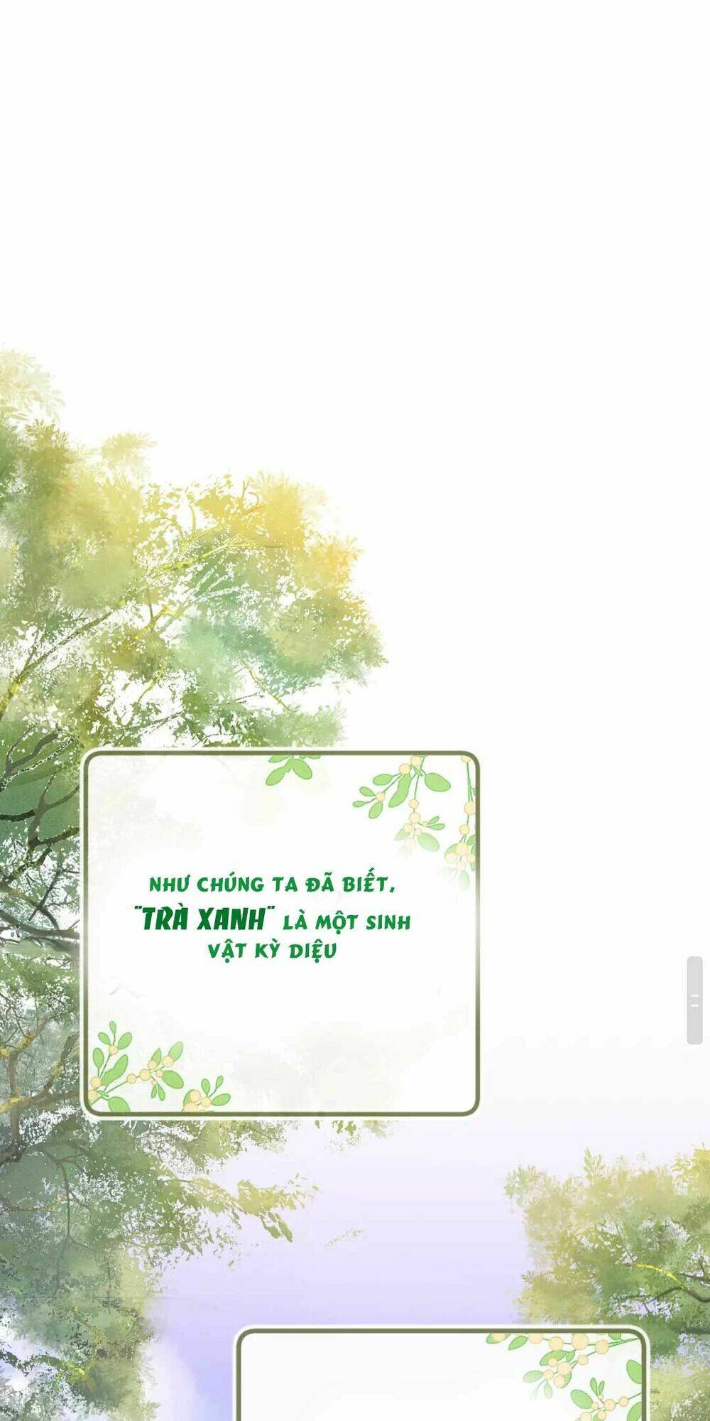 Mãn Cấp Trà Xanh Xuyên Không Thành Tiểu Đáng Thương Chapter 0 - Trang 2