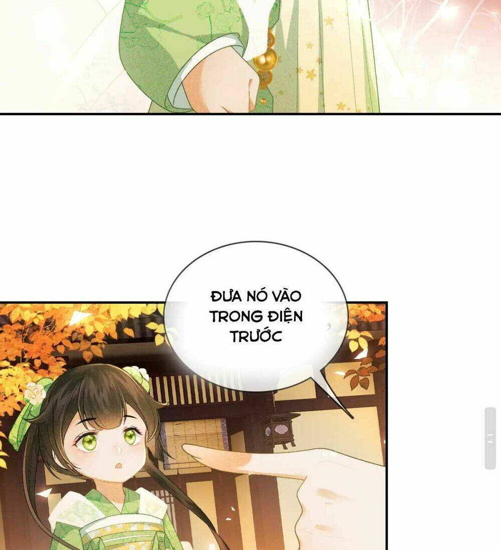 Mãn Cấp Trà Xanh Xuyên Không Thành Tiểu Đáng Thương Chapter 2 - Trang 2