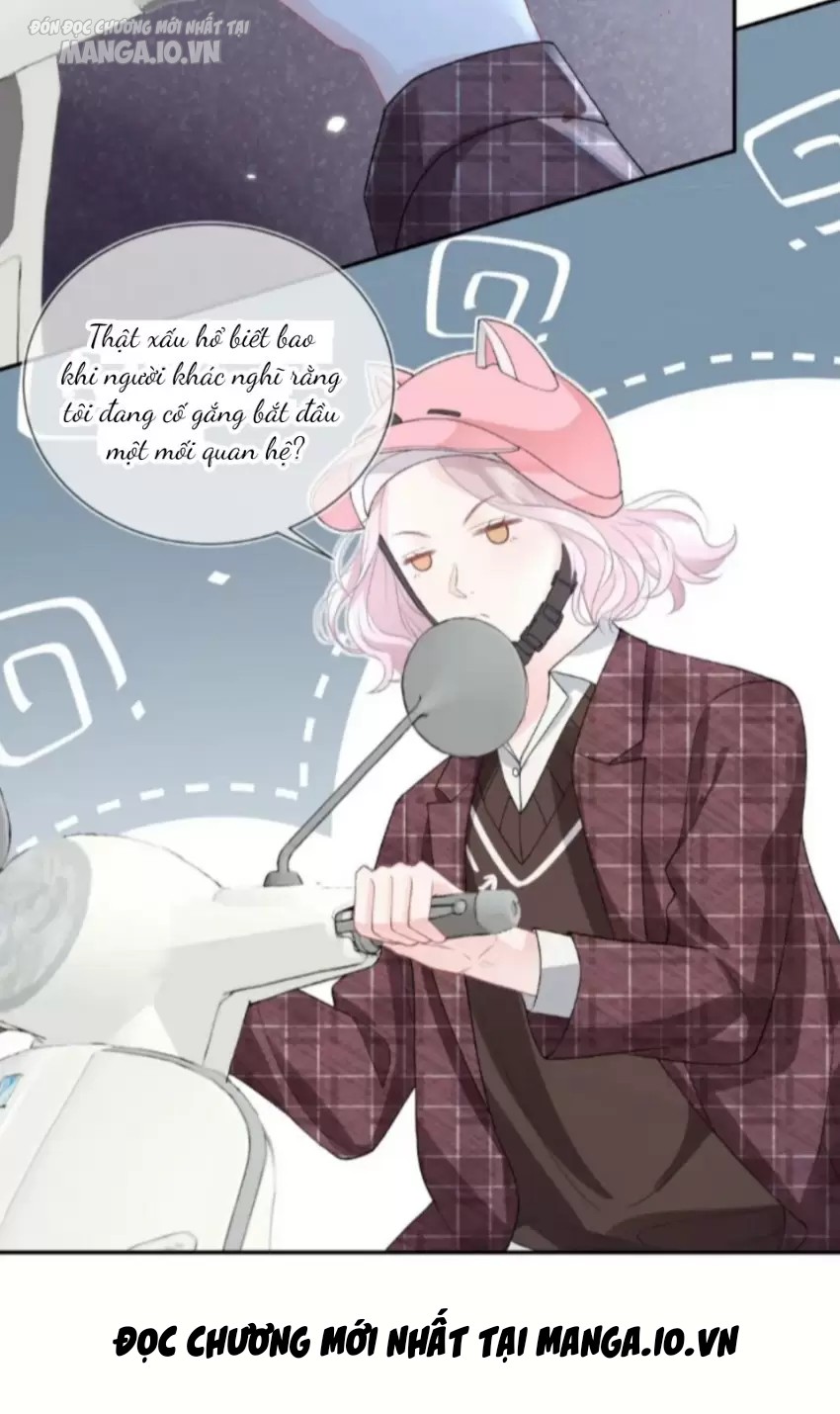 Mận Xanh Chapter 2 - Trang 2