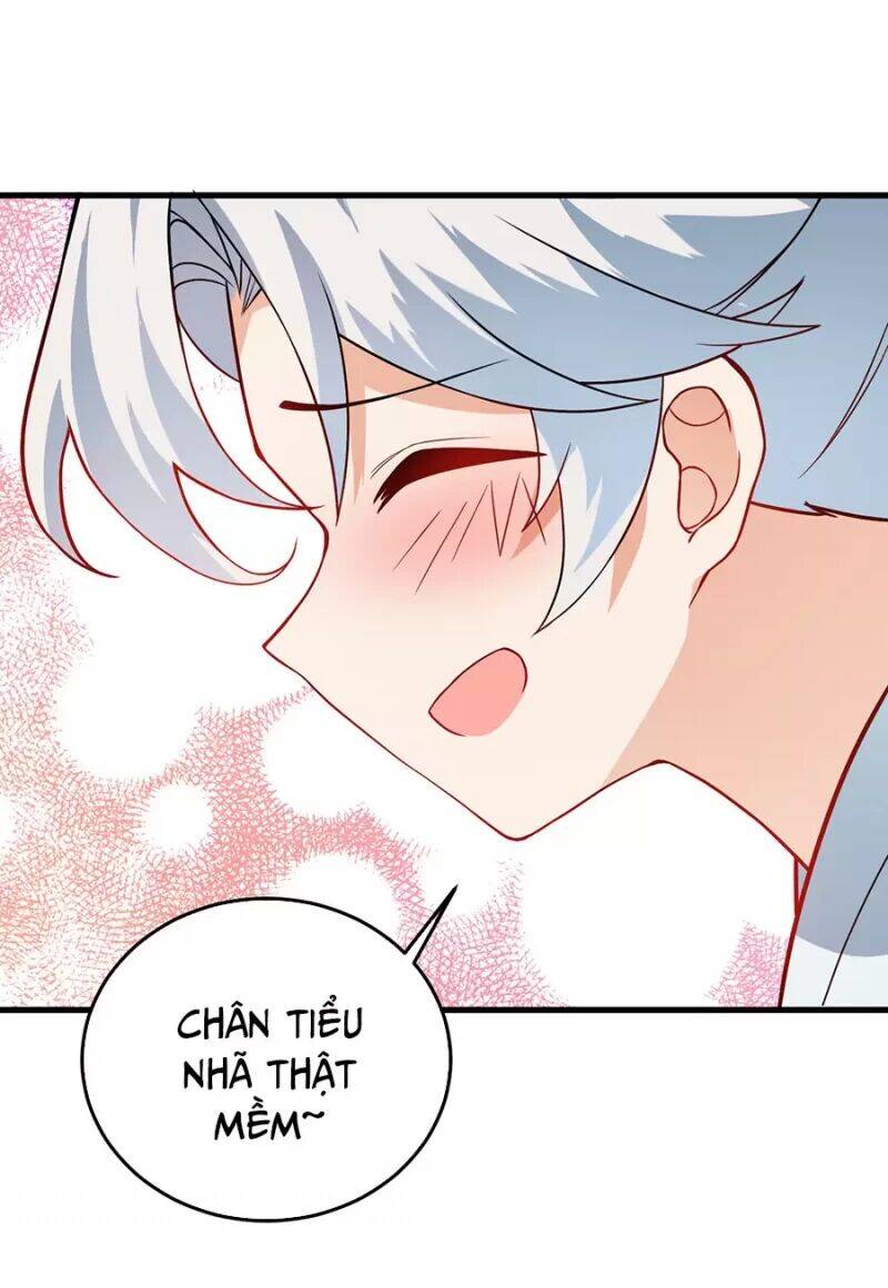 Mang Theo Các Tiên Tử Vô Địch Thiên Hạ Chapter 11 - Trang 2