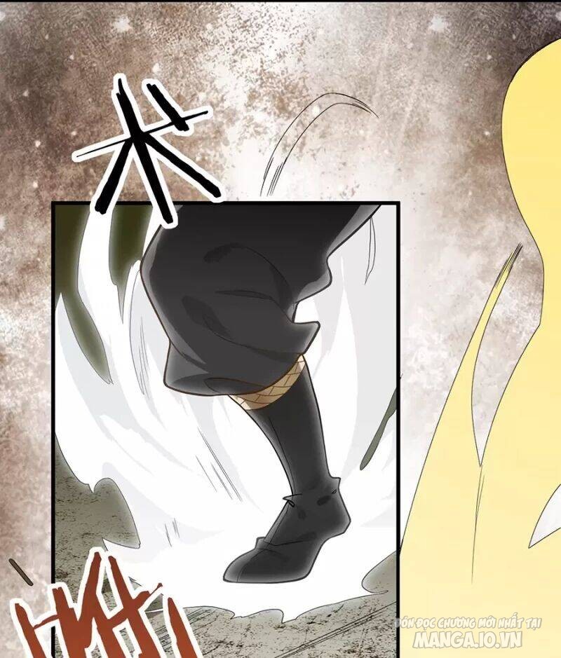 Mang Theo Các Tiên Tử Vô Địch Thiên Hạ Chapter 13 - Trang 2
