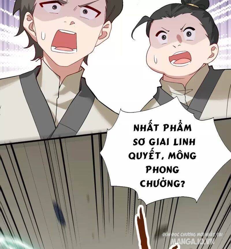 Mang Theo Các Tiên Tử Vô Địch Thiên Hạ Chapter 13 - Trang 2