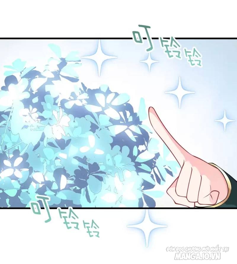 Mang Theo Các Tiên Tử Vô Địch Thiên Hạ Chapter 14 - Trang 2