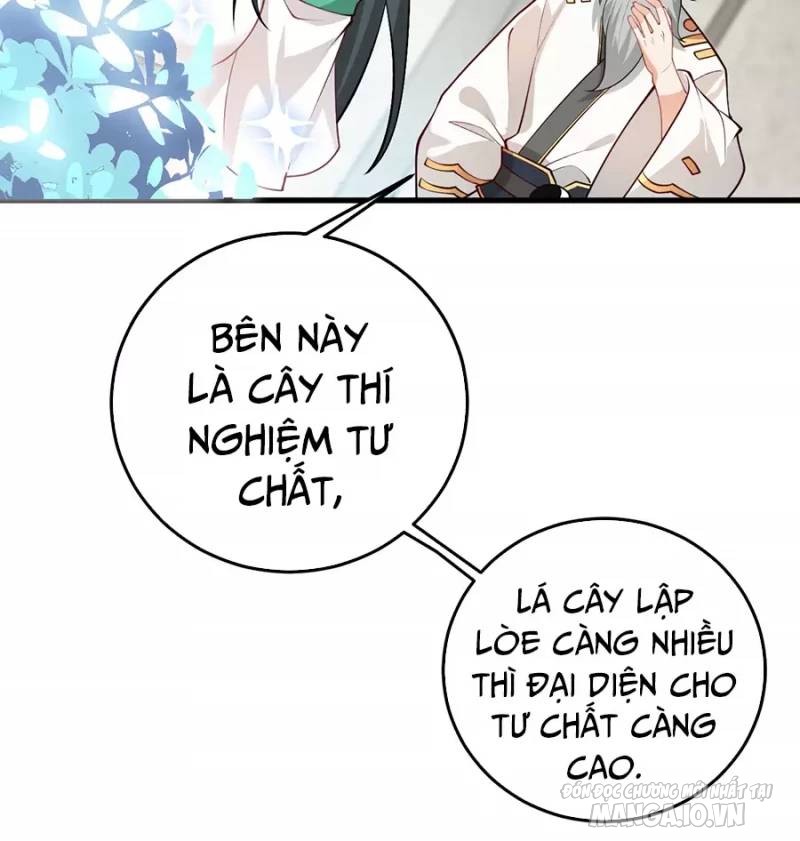 Mang Theo Các Tiên Tử Vô Địch Thiên Hạ Chapter 14 - Trang 2