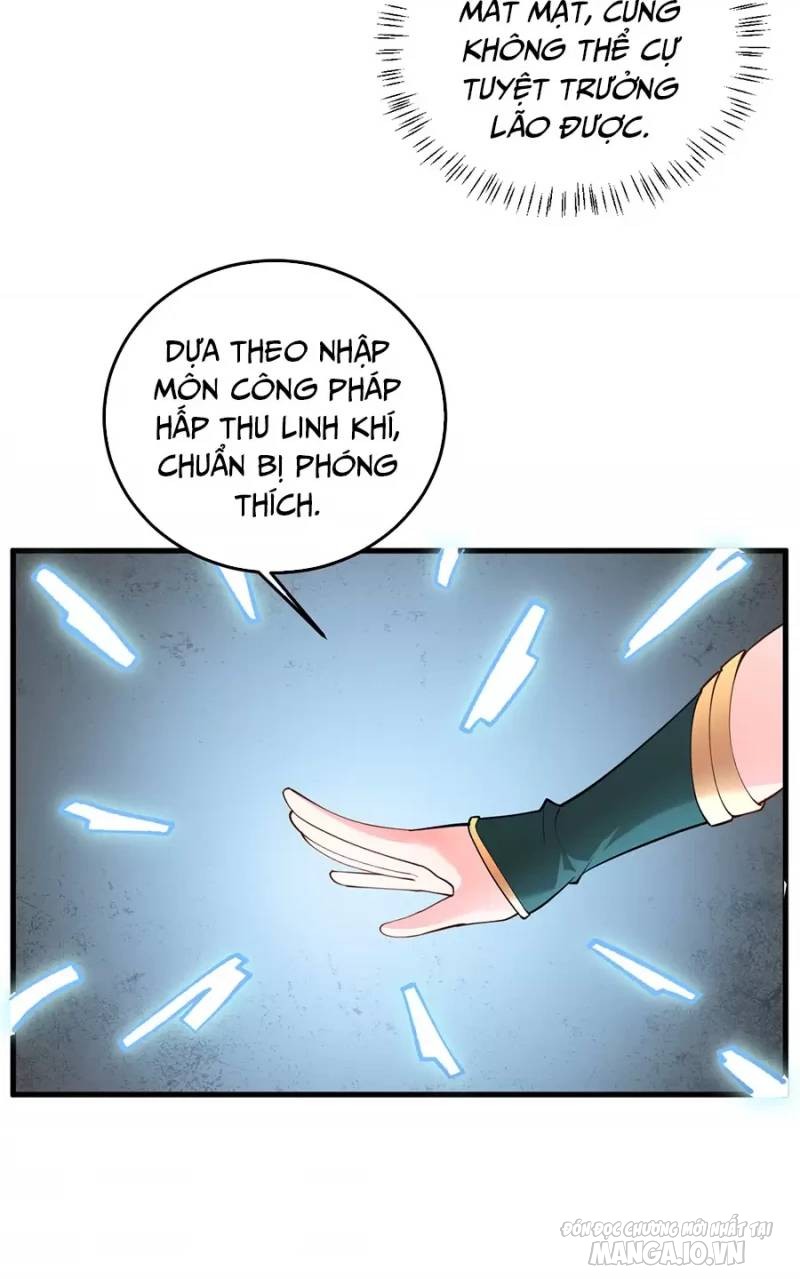 Mang Theo Các Tiên Tử Vô Địch Thiên Hạ Chapter 14 - Trang 2