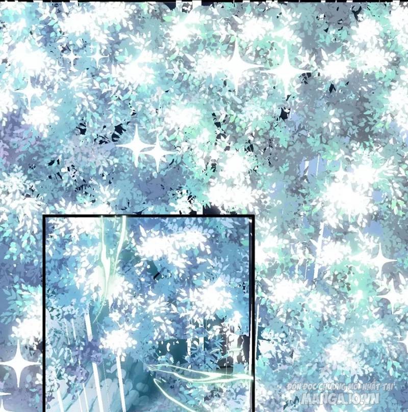 Mang Theo Các Tiên Tử Vô Địch Thiên Hạ Chapter 14 - Trang 2