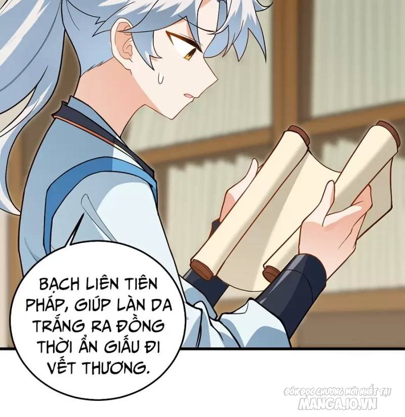 Mang Theo Các Tiên Tử Vô Địch Thiên Hạ Chapter 15 - Trang 2