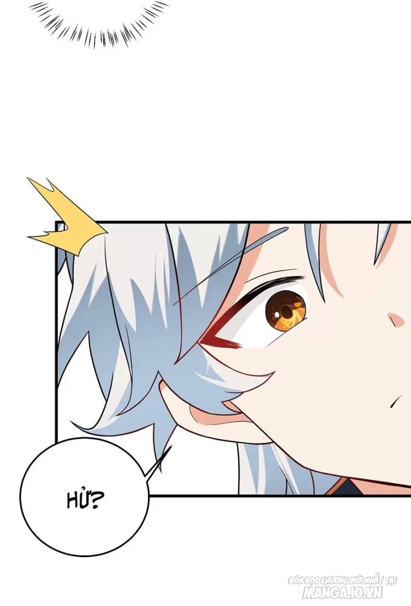 Mang Theo Các Tiên Tử Vô Địch Thiên Hạ Chapter 15 - Trang 2