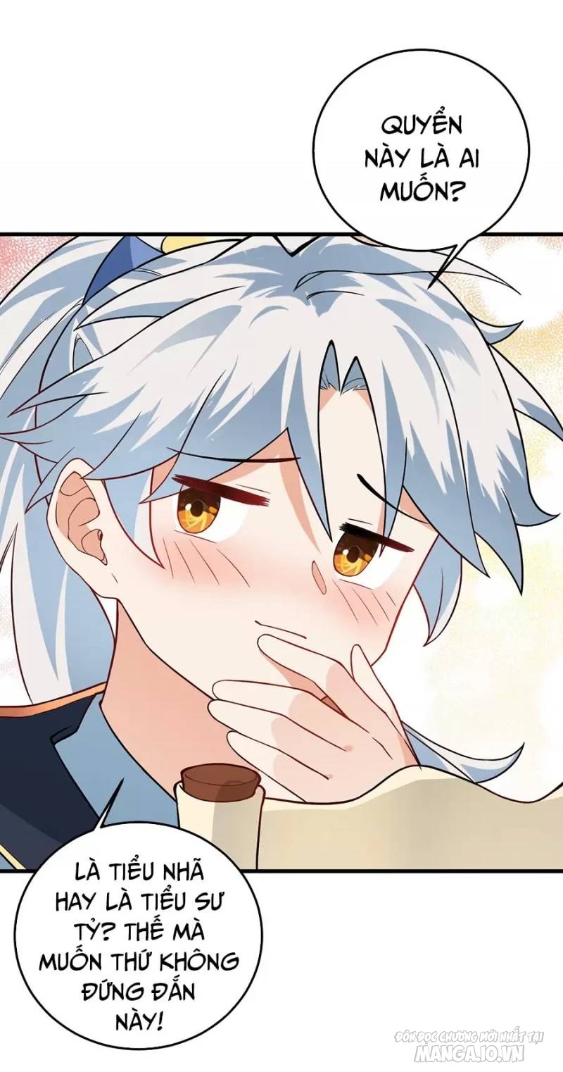 Mang Theo Các Tiên Tử Vô Địch Thiên Hạ Chapter 15 - Trang 2