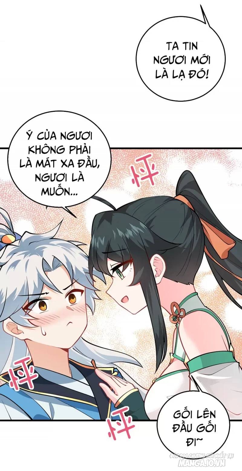 Mang Theo Các Tiên Tử Vô Địch Thiên Hạ Chapter 16 - Trang 2