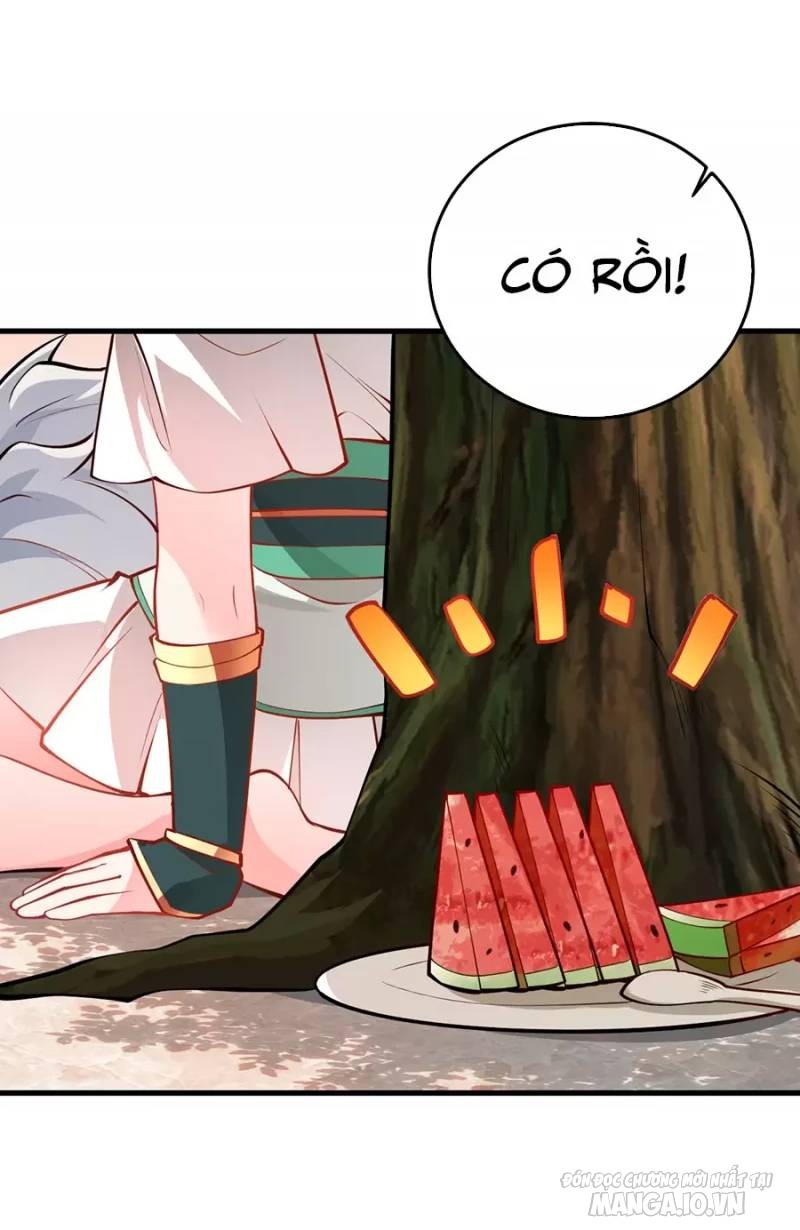 Mang Theo Các Tiên Tử Vô Địch Thiên Hạ Chapter 16 - Trang 2