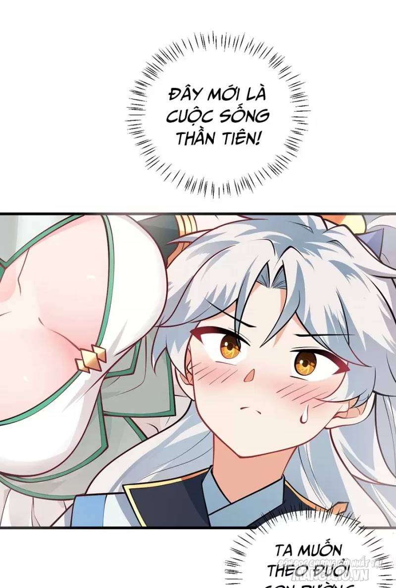 Mang Theo Các Tiên Tử Vô Địch Thiên Hạ Chapter 16 - Trang 2