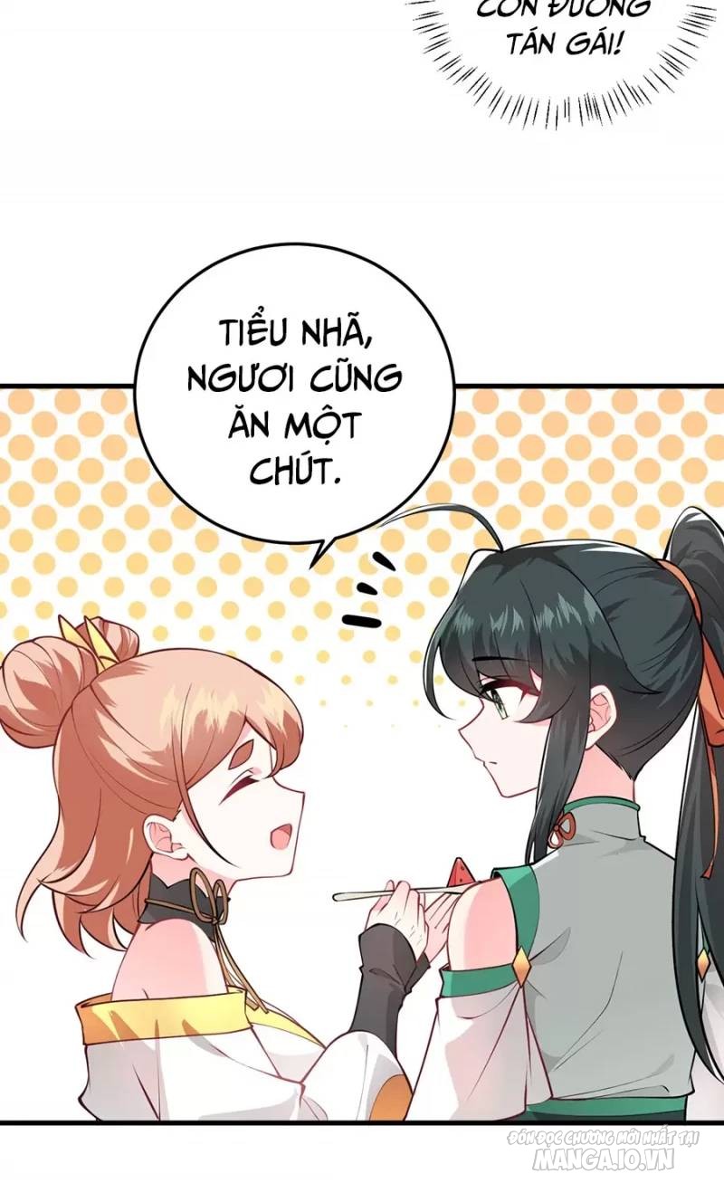 Mang Theo Các Tiên Tử Vô Địch Thiên Hạ Chapter 16 - Trang 2