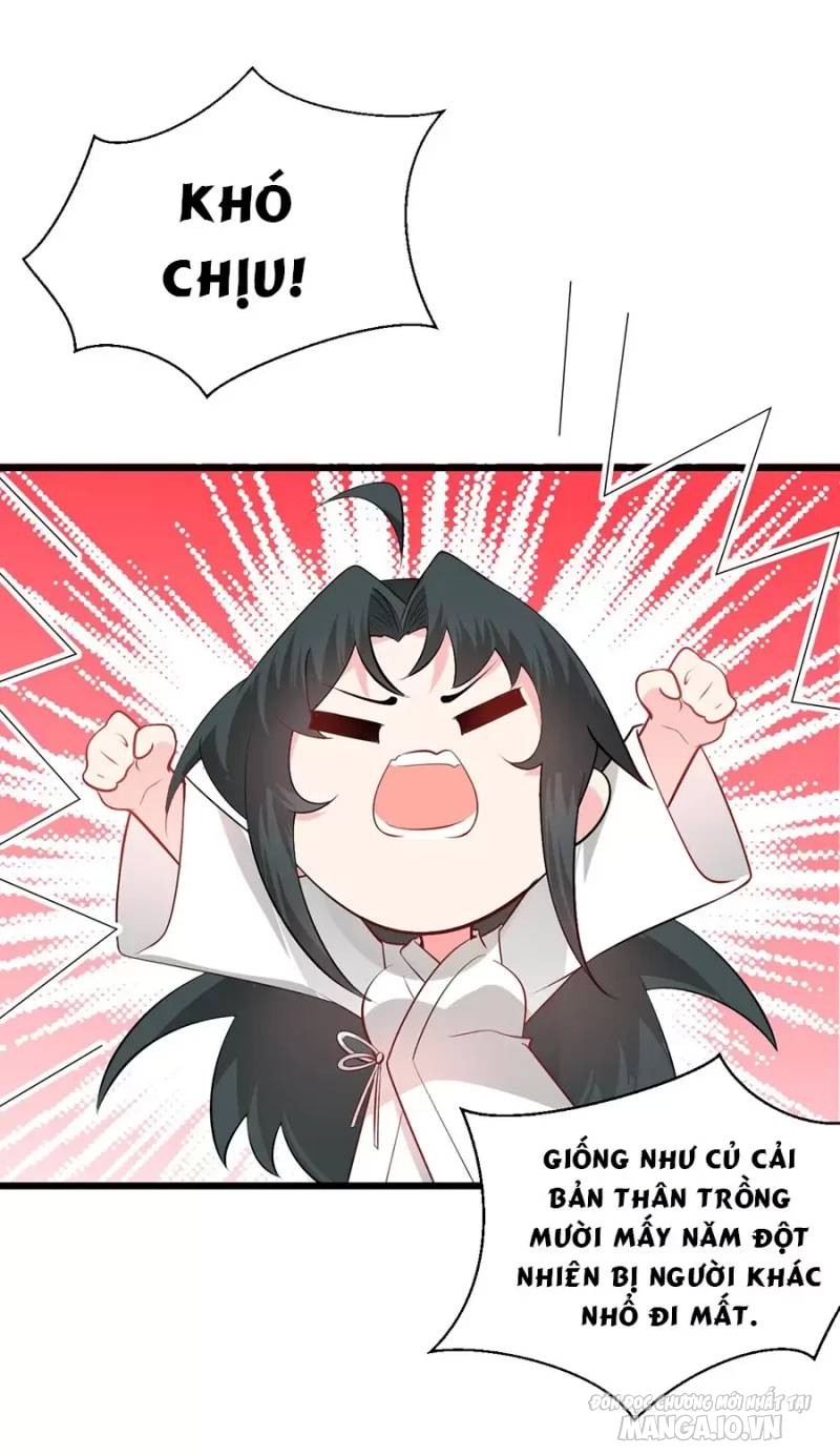 Mang Theo Các Tiên Tử Vô Địch Thiên Hạ Chapter 18 - Trang 2