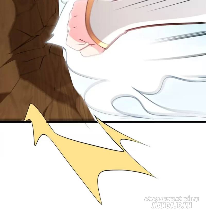 Mang Theo Các Tiên Tử Vô Địch Thiên Hạ Chapter 18 - Trang 2