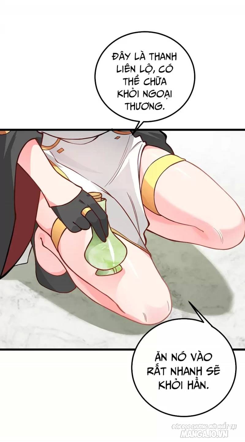 Mang Theo Các Tiên Tử Vô Địch Thiên Hạ Chapter 19 - Trang 2