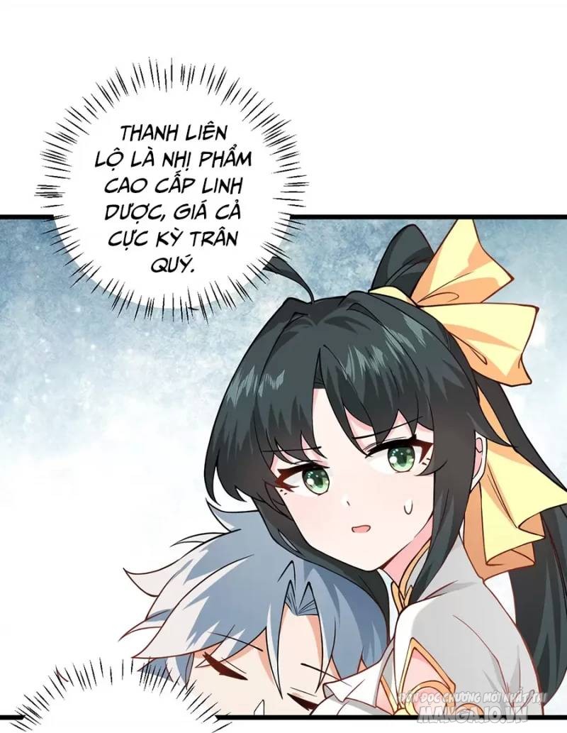 Mang Theo Các Tiên Tử Vô Địch Thiên Hạ Chapter 19 - Trang 2