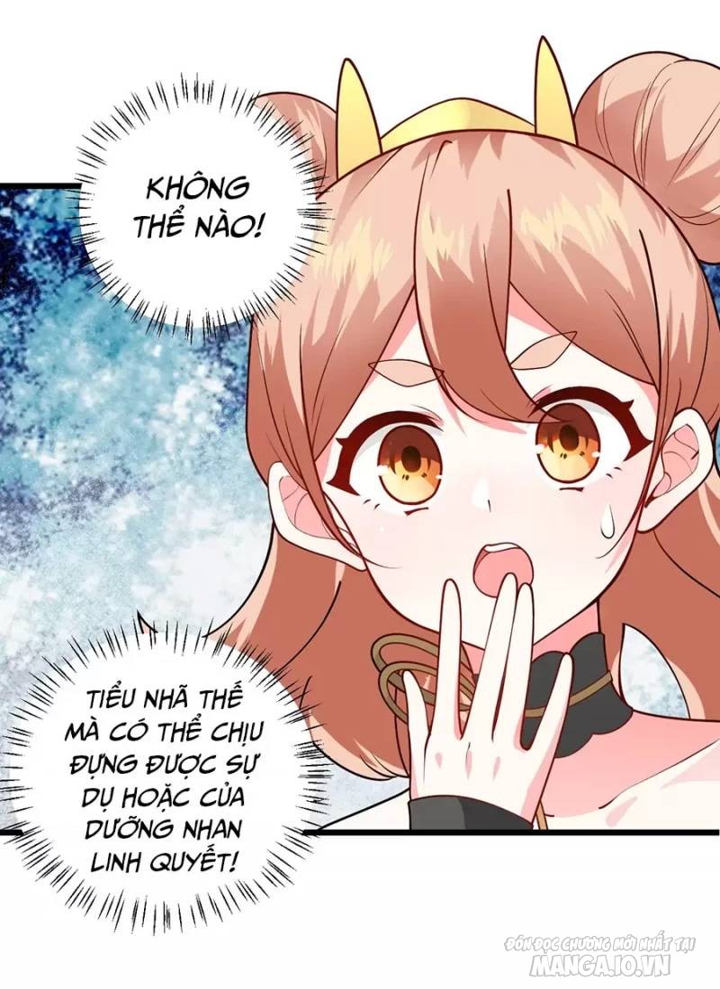 Mang Theo Các Tiên Tử Vô Địch Thiên Hạ Chapter 20 - Trang 2