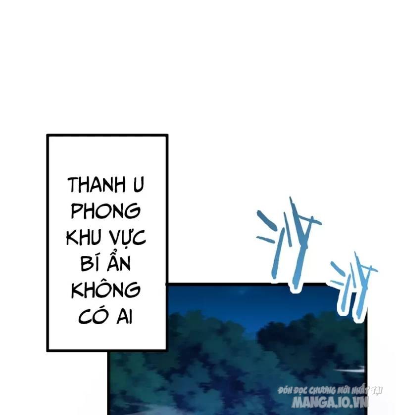 Mang Theo Các Tiên Tử Vô Địch Thiên Hạ Chapter 20 - Trang 2