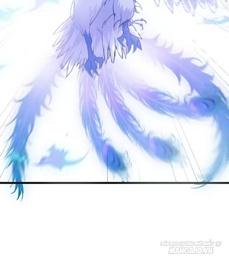 Mang Theo Các Tiên Tử Vô Địch Thiên Hạ Chapter 20 - Trang 2