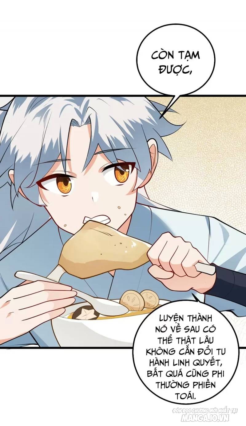 Mang Theo Các Tiên Tử Vô Địch Thiên Hạ Chapter 20 - Trang 2