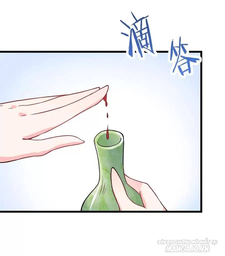 Mang Theo Các Tiên Tử Vô Địch Thiên Hạ Chapter 21 - Trang 2