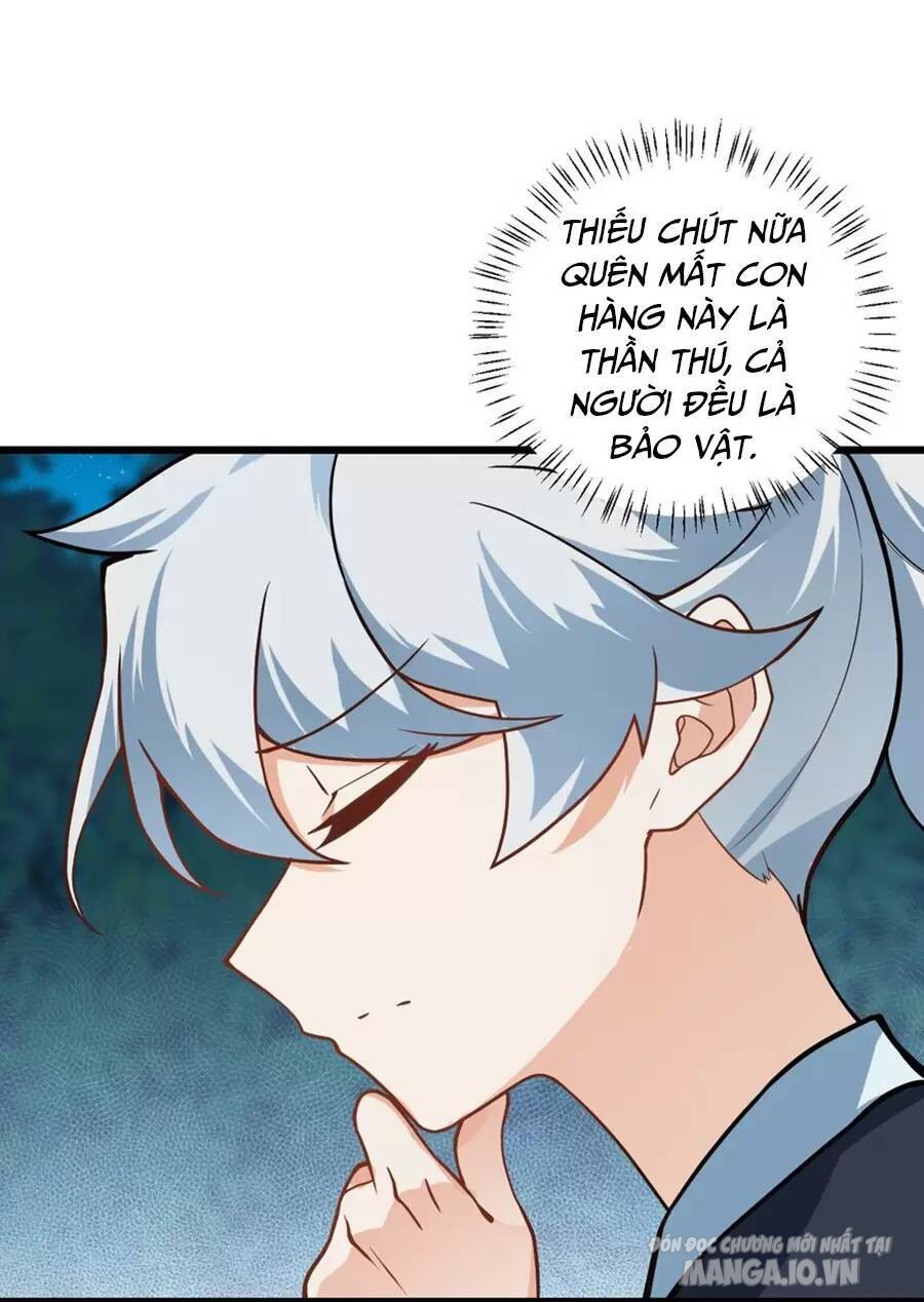 Mang Theo Các Tiên Tử Vô Địch Thiên Hạ Chapter 21 - Trang 2