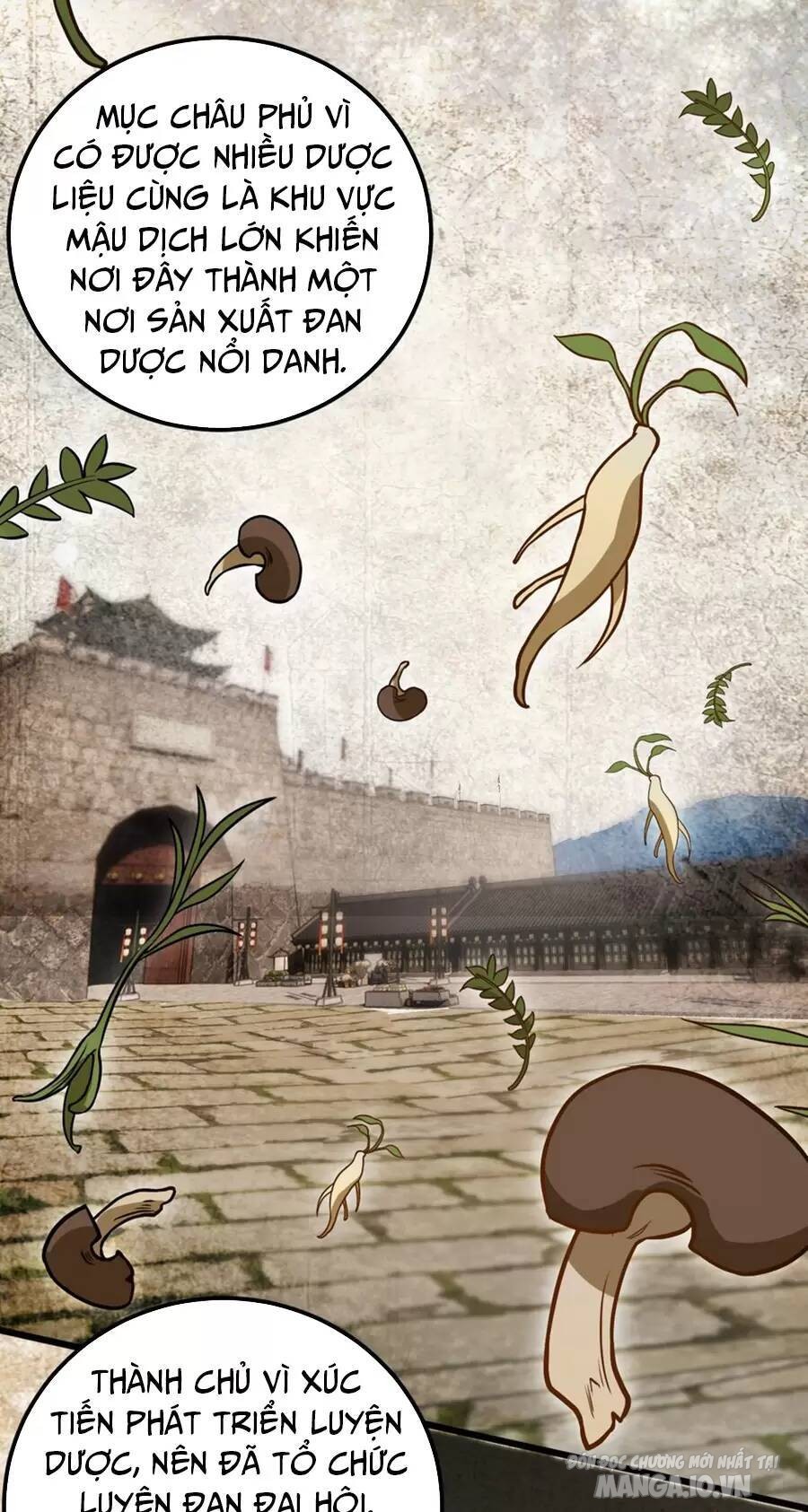 Mang Theo Các Tiên Tử Vô Địch Thiên Hạ Chapter 23 - Trang 2