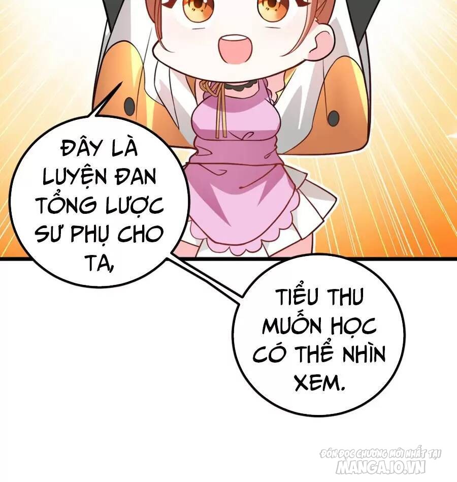 Mang Theo Các Tiên Tử Vô Địch Thiên Hạ Chapter 24 - Trang 2