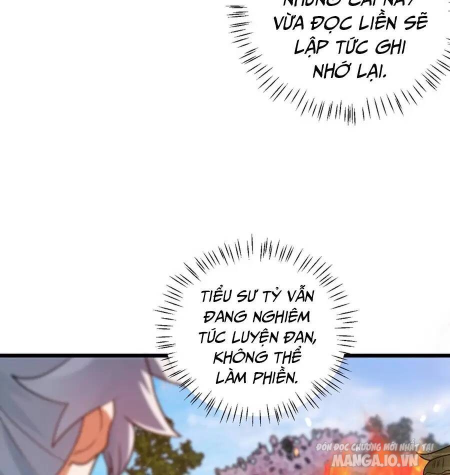 Mang Theo Các Tiên Tử Vô Địch Thiên Hạ Chapter 24 - Trang 2