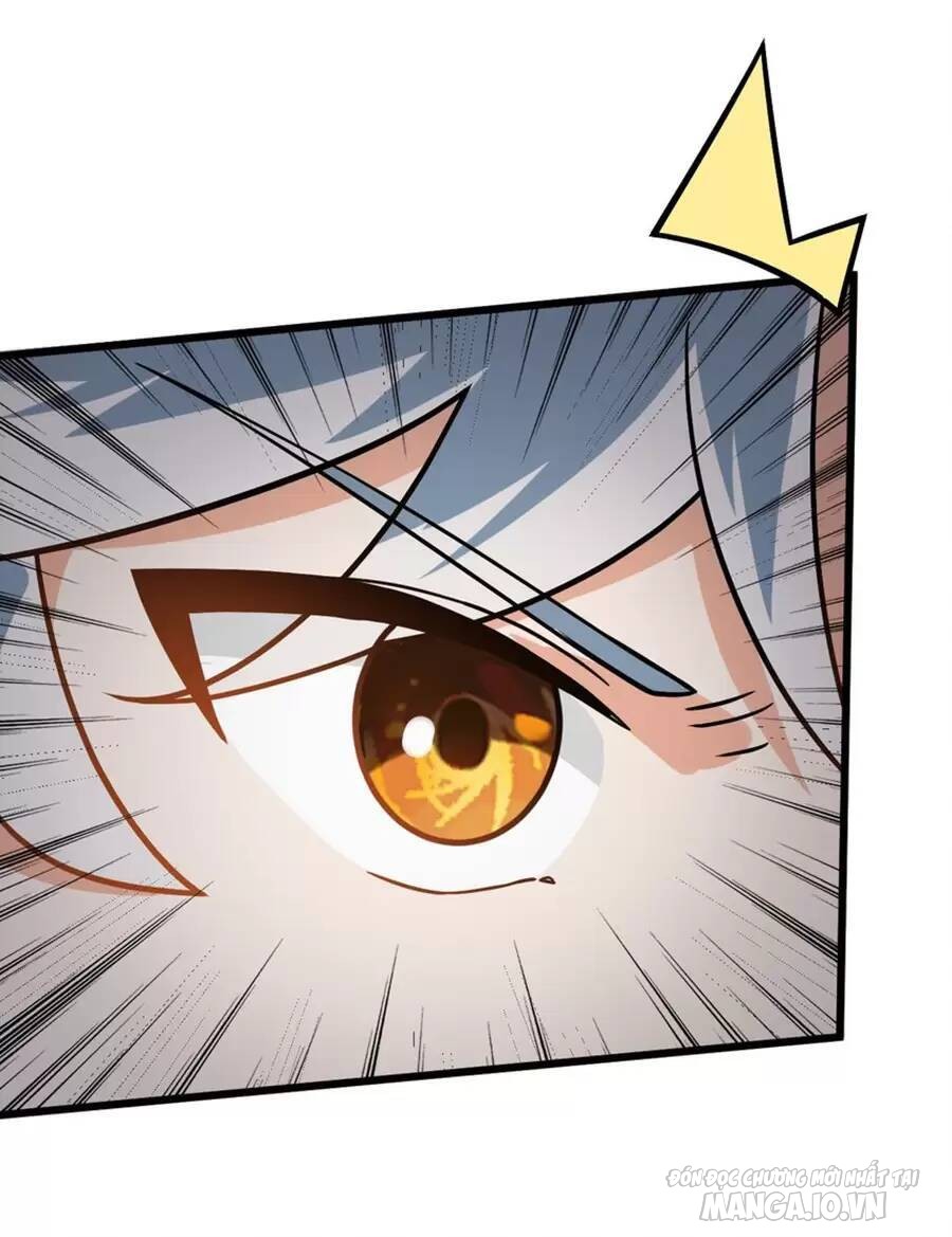 Mang Theo Các Tiên Tử Vô Địch Thiên Hạ Chapter 25 - Trang 2