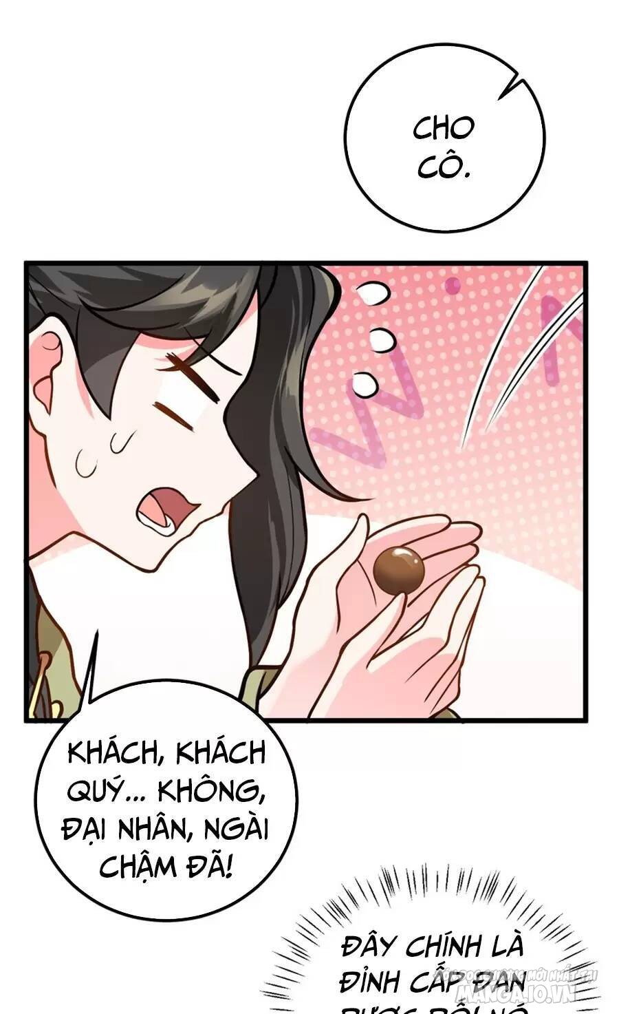 Mang Theo Các Tiên Tử Vô Địch Thiên Hạ Chapter 25 - Trang 2