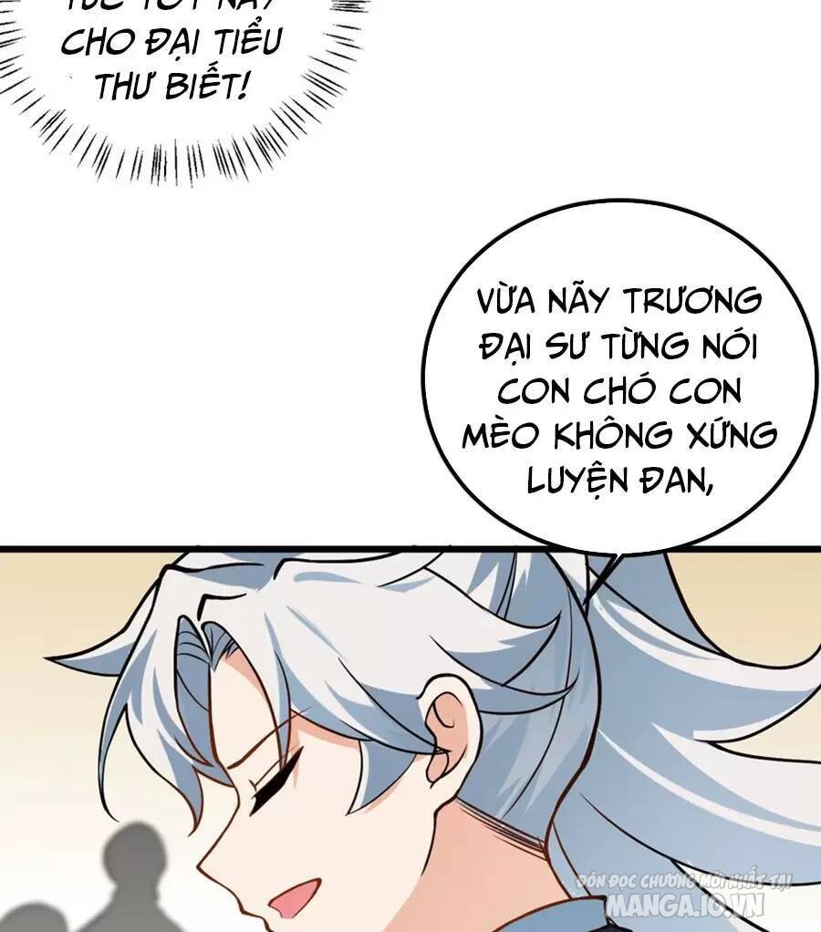 Mang Theo Các Tiên Tử Vô Địch Thiên Hạ Chapter 25 - Trang 2