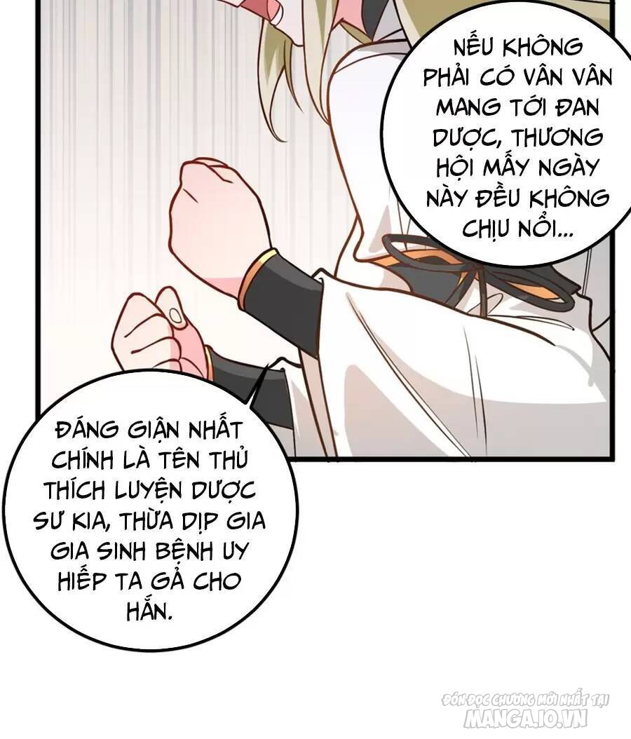 Mang Theo Các Tiên Tử Vô Địch Thiên Hạ Chapter 27 - Trang 2