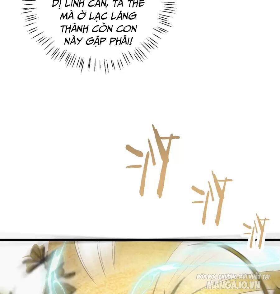 Mang Theo Các Tiên Tử Vô Địch Thiên Hạ Chapter 28 - Trang 2