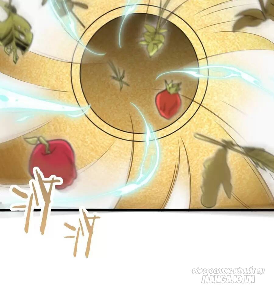 Mang Theo Các Tiên Tử Vô Địch Thiên Hạ Chapter 28 - Trang 2