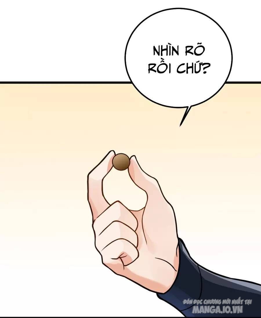 Mang Theo Các Tiên Tử Vô Địch Thiên Hạ Chapter 29 - Trang 2