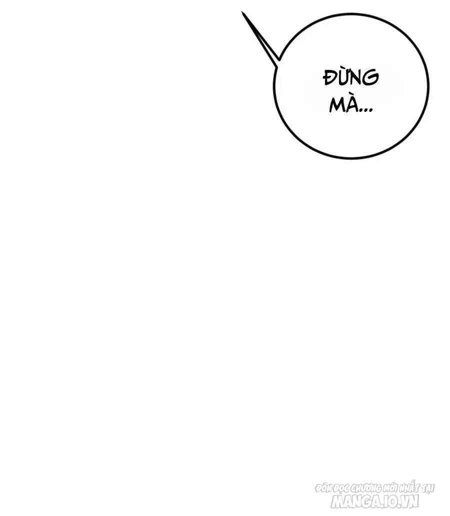 Mang Theo Các Tiên Tử Vô Địch Thiên Hạ Chapter 31 - Trang 2