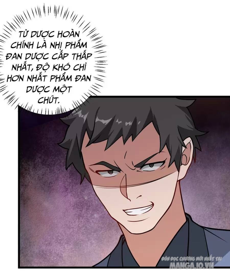 Mang Theo Các Tiên Tử Vô Địch Thiên Hạ Chapter 35 - Trang 2